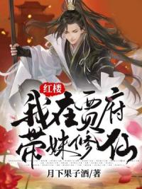 红楼：我在贾府带妹修仙